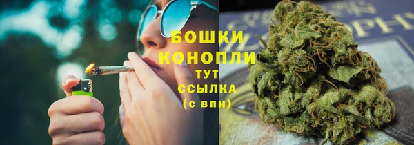 индика Баксан
