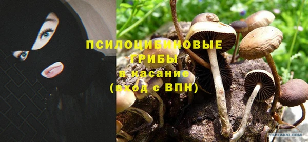 тгк Беломорск